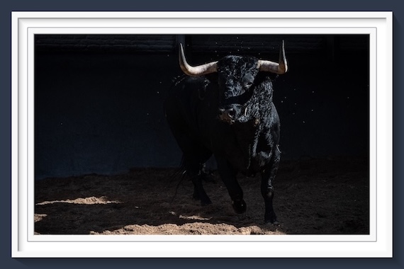 <b>Orden de lidia de los toros de Juan Luis Fraile para Las Ventas (Música, Fotos y Vídeo)</b>
