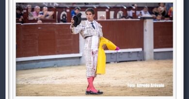 <b>En Madrid… Rafael Cerro fue ovacionado, se llevó puntazo con pronóstico reservado</b>