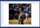<b>Galería. Así vio la inspiración de André Viard… el triunfo de Daniel Luque en Mont-de-Marsan</b>