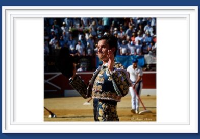 <b>Galería. Así vio la inspiración de André Viard… el triunfo de Daniel Luque en Mont-de-Marsan</b>