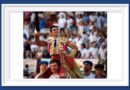 <b>Galería. Así vio la inspiración de André Viard… el triunfo de Perera en Mont-de-Marsan</b>