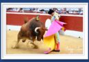 <b>En Mont de Marsan… Corrida de Parrale-bajo</b>