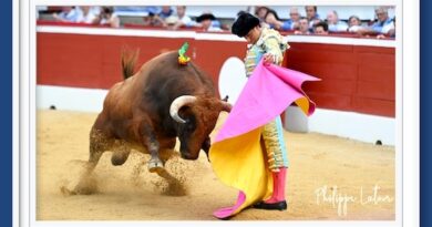 <b>En Mont de Marsan… Corrida de Parrale-bajo</b>