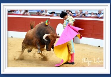 <b>En Mont de Marsan… Corrida de Parrale-bajo</b>