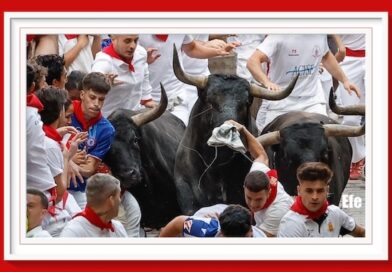 <b>Sólo 4 contusiones dejaron los toros de Miura -8º y último encierro de San Fermín 2025-: 2′ 16″</b>
