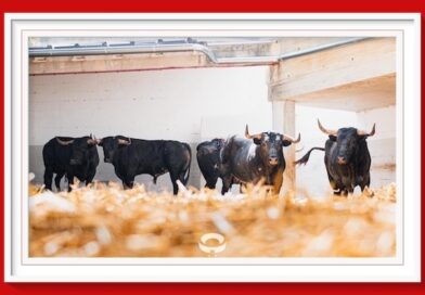 <b>Orden de lidia de los toros de Miura para Feria de San Fermín de Pamplona</b>