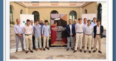<b>Presentado el cartel de la Final del IV Trofeo Domingo Ortega</b>