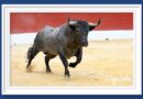 <b>En Mont de Marsan… Victorino, Morenito y Saúl confirman el pronóstico</b>