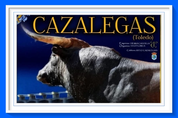 <b>Festival taurino mixto sin picadores en Cazalegas (Toledo)</b>