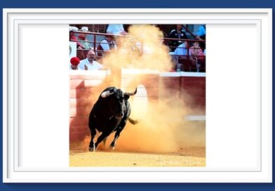 <b>Galería. Así vio la inspiración de André Viard… así vio a  Antonio Ferrera, Juan Leal y José Garrido en Villeneuve de Marsan</b>