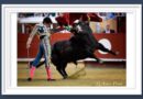 <b>Galería. Así vio la inspiración de André Viard… la corrida de las promesas de Bayonne</b>