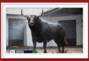 <b>Orden de lidia de los toros de Fuente Ymbro para la 6ª de las Corridas Generales de Bilbao</b>