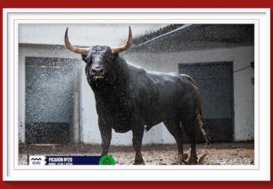 <b>Orden de lidia de los toros de Fuente Ymbro para la 6ª de las Corridas Generales de Bilbao</b>