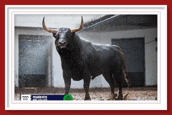 <b>Orden de lidia de los toros de Fuente Ymbro para la 6ª de las Corridas Generales de Bilbao</b>