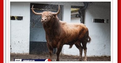 <b>Orden de lidia de los toros de Garcigrande para la 5ª de las Corridas Generales de Bilbao</b>
