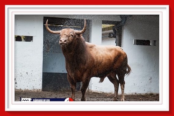 <b>Orden de lidia de los toros de Garcigrande para la 5ª de las Corridas Generales de Bilbao</b>