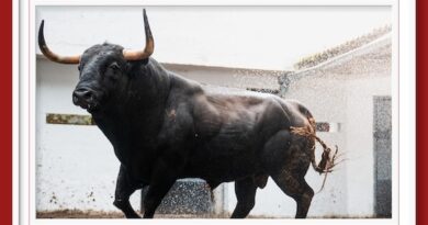 <b>Orden de lidia de los toros de Victoriano del Río para la 4ª de las Corridas Generales de Bilbao</b>