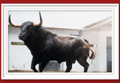 <b>Orden de lidia de los toros de Victoriano del Río para la 4ª de las Corridas Generales de Bilbao</b>