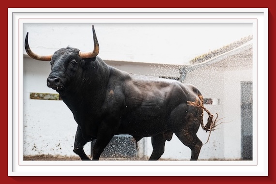 <b>Orden de lidia de los toros de Victoriano del Río para la 4ª de las Corridas Generales de Bilbao</b>