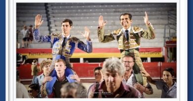 <b>En Chateaurenard… Indulto de <i>Adulador</i> de Pagès-Mailhan y doble salida triunfal para Joselito Adame y Solal</b>
