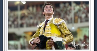 <b>En Dax… La nuit du Roi -la noche del Rey-</b>