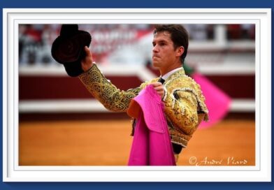 <b>Galería. Así vio la inspiración de André Viard… destacar a Daniel Luque en Dax</b>