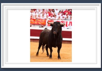 <b>La galería de Roland Costedoat así vio… a Fortes,  David Galván y <i>El Rafi</i> en Dax</b>