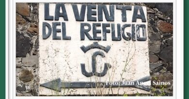 <b>El reportaje del Maestro Sainos… Conozca los toros de La Venta del Refugio para Doxei, Hidalgo</b>