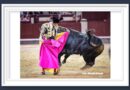 <b>La entrevista de Antonio Lorca… Jubilación a los 55 años y un mínimo de 150 festejos: así es la Seguridad Social de los toreros</b>