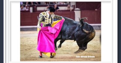 <b>La entrevista de Antonio Lorca… Jubilación a los 55 años y un mínimo de 150 festejos: así es la Seguridad Social de los toreros</b>