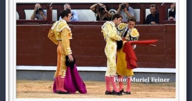 <b>En Madrid… Intenso toreo de José Fernando Molina el fallo con los aceros le privó de trofeos</b>
