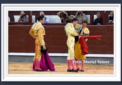 <b>En Madrid… Intenso toreo de José Fernando Molina el fallo con los aceros le privó de trofeos</b>