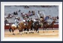 <b>En Madrid… Adrián Venegas vuelta tras petición frente al  exigente astado de su confirmación</b>