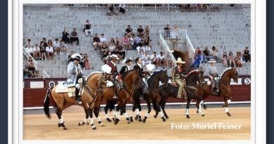 <b>En Madrid… Adrián Venegas vuelta tras petición frente al  exigente astado de su confirmación</b>
