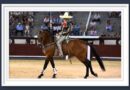 <b>Galería así vio Muriel Feiner… al festejo de rejones en Las Ventas</b>