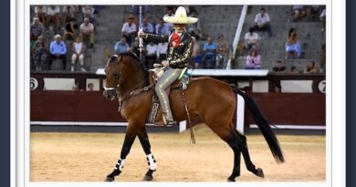 <b>Galería así vio Muriel Feiner… al festejo de rejones en Las Ventas</b>