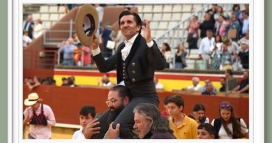 <b>Desde Palencia Muriel Feiner… Un cartel “portugués” para la corrida de rejoneo en la Feria de San Antolín</b>
