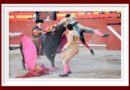 <b>Román, herido en Requena tras una voltereta que le impidió continuar la lidia</b>