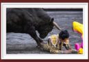 <b>Andrés Roca Rey no toreará en Cuenca</b>