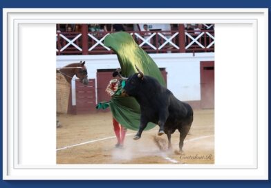 <b>La galería de Roland Costedoat así vio… el espectáculo de Ferrera y el toreo de Juan Leal celebrada en Villeneuve</b>