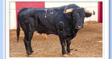 <b>Orden de lidia de los toros de Murteira Grave para Málaga</b>