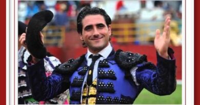 <b>Emilio Serna torea en Las Torres de Cotillas una corrida benéfica en solitario</b>