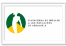 <b>El Ciclo de Canal Sur ya tiene finalistas</b>