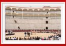 <b>Multitudinario encuentro de Iván Magro y Luís Rouxinol Jr., con la afición de Madrid</b>