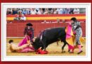 <b>En El Álamo… Gravísima cornada a Bruno Aloi</b>