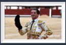 <b>En Madrid… <i>Villita</i> toreo de expresión y vuelta al ruedo</b>