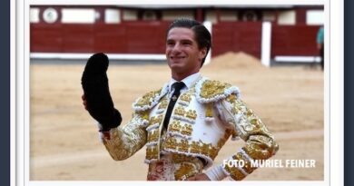 <b>En Madrid… <i>Villita</i> toreo de expresión y vuelta al ruedo</b>