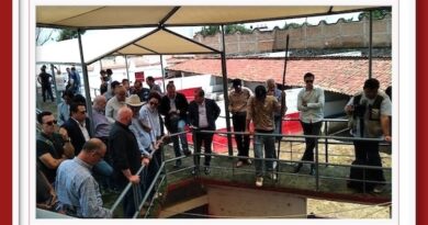 <b>Orden de lidia de los toros de Santo Toribio para El Nuevo Progreso de Guadalajara</b>