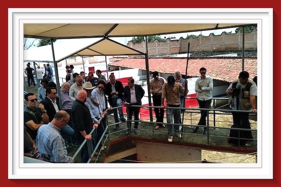 <b>Orden de lidia de los toros de Santo Toribio para El Nuevo Progreso de Guadalajara</b>