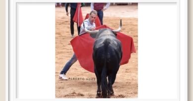 <b>El comentario de Alfredo Rodríguez Blázquez… La lucha de un novillero: Javier Ramírez</b>